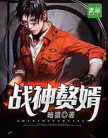【主角叶城，柳昭晴】战神赘婿txt全集阅读