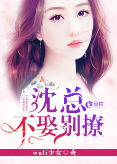 【妙手作家wuli少女】沈总，不娶别撩【完本】txt全集阅读