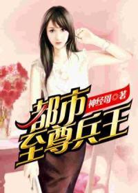 【妙手作家神经哥】都市至尊兵王txt全集阅读