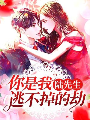 【主角苏婉夏陆廷衍】陆先生，你是我逃不掉的劫txt全集阅读
