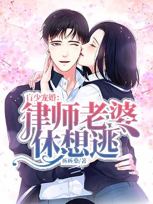 【主角顾惜穆景琛】盲少宠婚：律师老婆休想逃txt全集阅读