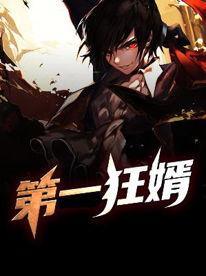 【主角何辉洛商仪】第一狂婿txt全集阅读