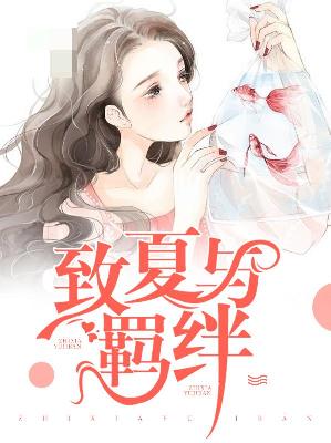 【主角夏淼慕亦辰】致夏与羁绊txt全集阅读