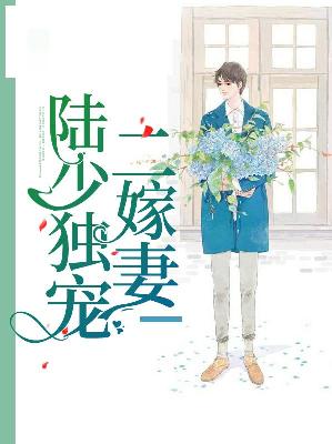 【主角穆兮陆景乔】陆少独宠二嫁妻txt全集阅读