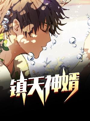 【主角陈宁宋娉婷】镇天神婿txt全集阅读