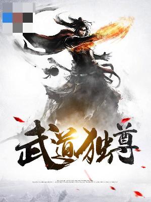 【主角罗天欧阳梦辰】武道独尊txt全集阅读