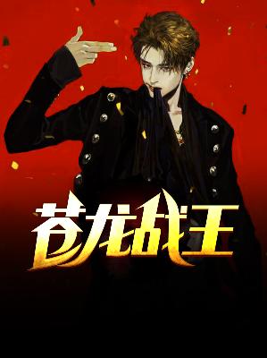 【主角叶战赵盈】苍龙战王txt全集阅读