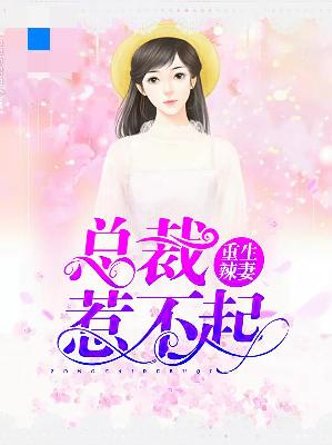 【主角苏小艾南宫瑾】重生辣妻：总裁惹不起txt全集阅读
