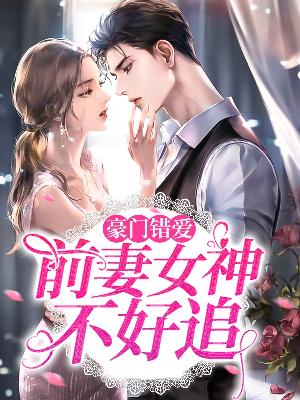【主角安雨琦叶凌霆】豪门错爱：前妻女神不好追txt全集阅读