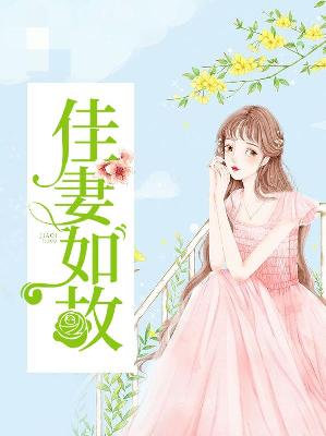 【主角顾晚晴容十】佳妻如故txt全集阅读