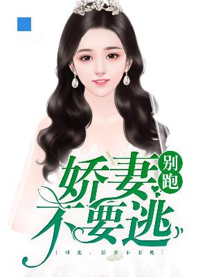 【主角林婉言凌欧文】别跑，娇妻不要逃txt全集阅读