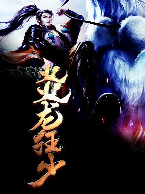 【主角叶昊司徒月】炎龙狂少txt全集阅读