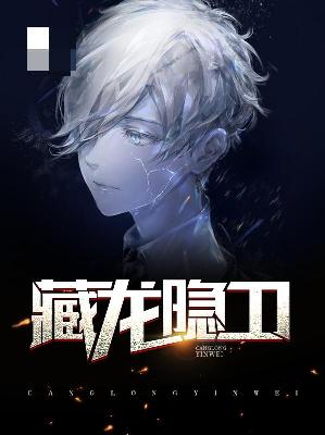 【主角陈永华苏可儿】藏龙隐卫txt全集阅读