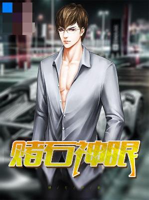 【主角叶开紫熏】赌石神眼txt全集阅读