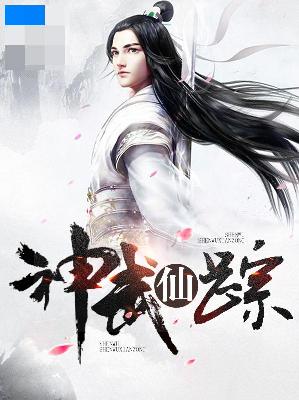 【主角叶辰楚灵儿】神武仙踪txt全集阅读
