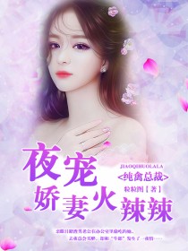【主角白天晟秦妍希】纯禽总裁：夜宠娇妻火辣辣txt全集阅读