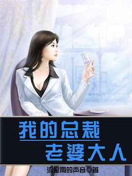 【妙手作家流星雨的声音】我的总裁老婆大人txt全集阅读