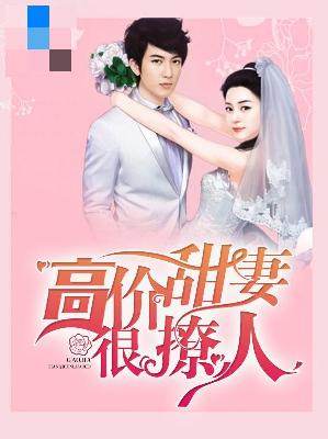 【主角秦静温乔舜辰】高价甜妻很撩人txt全集阅读