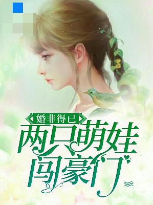 【主角贺以晴贺钧天】婚非得已：两只萌娃闯豪门txt全集阅读