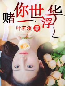 【主角白诺依洛云熙】赌你一世浮华txt全集阅读