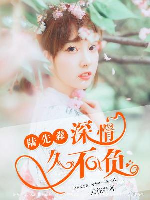 【主角陆烨沈若晗】陆先森，深情久不负txt全集阅读