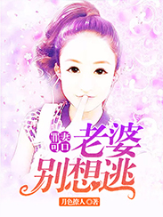【主角肖沐婉聿霄】罪妻可口：老婆别想逃txt全集阅读