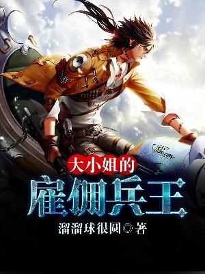 【主角杨轩林小小】大小姐的雇佣兵王txt全集阅读