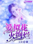 【主角莫洁顾以宸】爱似花火绚烂txt全集阅读