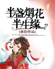 【主角秦少言顾珞水】半盏烟花半生缘txt全集阅读