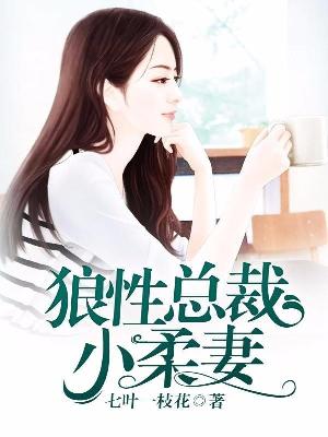 【主角纪昀苏陌】狼性总裁小柔妻txt全集阅读
