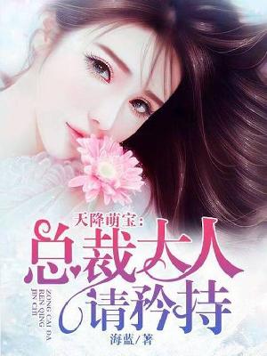 【主角云萱叶臻】天降萌宝：总裁大人请矜持txt全集阅读
