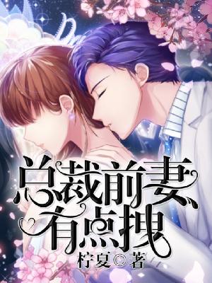 【主角顾铮铮盛晖霆】总裁，前妻有点拽txt全集阅读