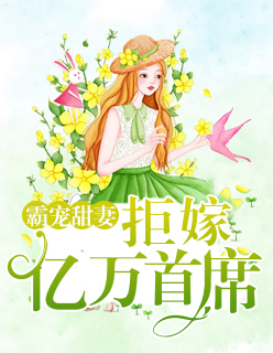 【主角邵季元沈安】霸宠甜妻：拒嫁亿万首席txt全集阅读