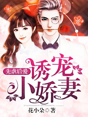 【主角王安娜谢玉枫】先虐后爱：诱宠小娇妻txt全集阅读