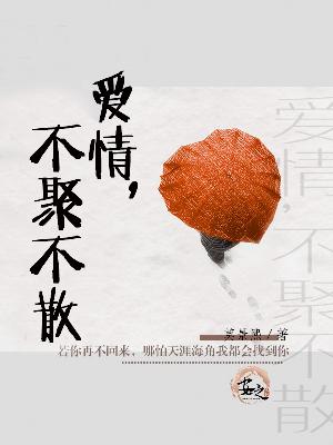 【主角萧萧陶昊天】爱情，不聚不散txt全集阅读