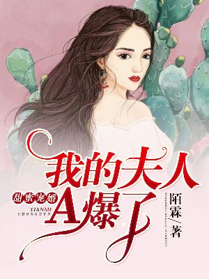 【主角封洛晨文沁】甜蜜宠婚：我的夫人A爆了txt全集阅读