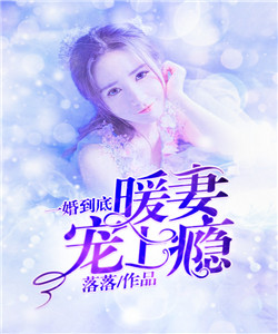 【主角温暖林璟】一婚到底：暖妻宠上瘾txt全集阅读