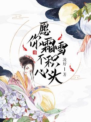 【主角顾铮魏懿】愿你霜雪不积心头txt全集阅读