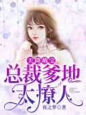 【主角鹿依依傅恒之】天降萌宝，总裁爹地太撩人txt全集阅读