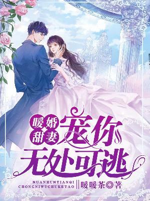 【主角简汐奚云朝】暖婚甜妻：宠你无处可逃txt全集阅读