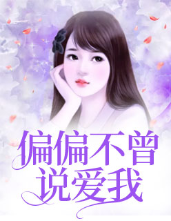 【主角邹念单北向】偏偏不曾说爱我txt全集阅读