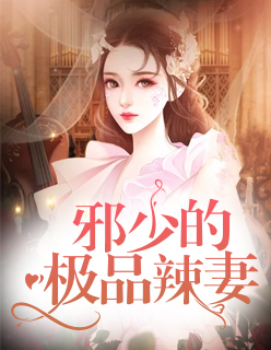 【主角叶慈安静】邪少的极品辣妻txt全集阅读