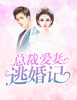 【主角南宫琛舒小婉】总裁爱妻逃婚记txt全集阅读