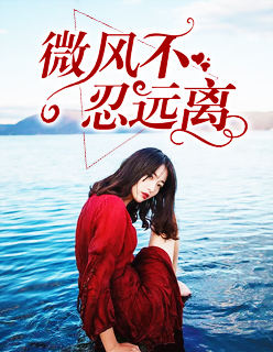 【主角燕霆陆婉婉】微风不忍远离txt全集阅读