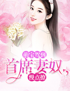 【主角苏诺陆白】萌宝驾到：首席妻奴，慢点撩txt全集阅读