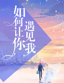 【主角陆晚晚苏辞煜】如何让你遇见我txt全集阅读
