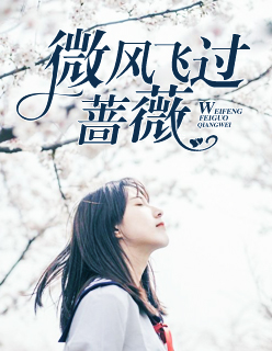 【主角夏如初冷擎】微风飞过蔷薇txt全集阅读