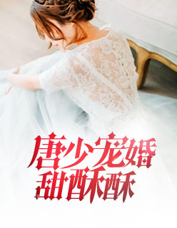 【主角付西西唐慕凡】唐少宠婚甜酥酥txt全集阅读