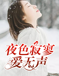 【主角夜景阑沐小七】夜色寂寥爱无声txt全集阅读