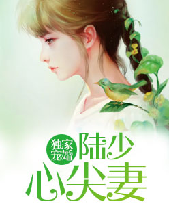 【主角黎湘陆景乔】独家宠婚：陆少心尖妻txt全集阅读